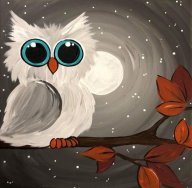 Ночное спортивное ориентирование Ночное спортивное ориентирование